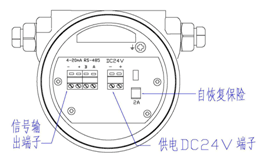 熱式氣體質(zhì)量流量計(jì)(圖10)