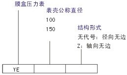 膜盒壓力表(圖1)